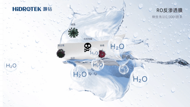 634286caadae8.png 2.png